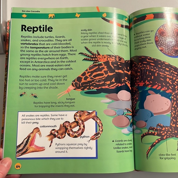 NOT ELIGIBLE FOR BUNDLE SALE  Animals and Nature:Two-Can First Encyclopedia - Picture 14 of 14